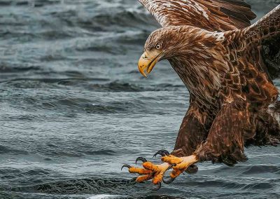 Dickon Clark photography Belper Derbyshire