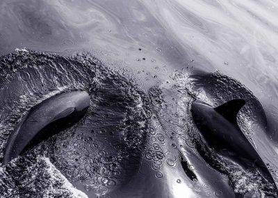 Dickon Clark photography Belper Derbyshire