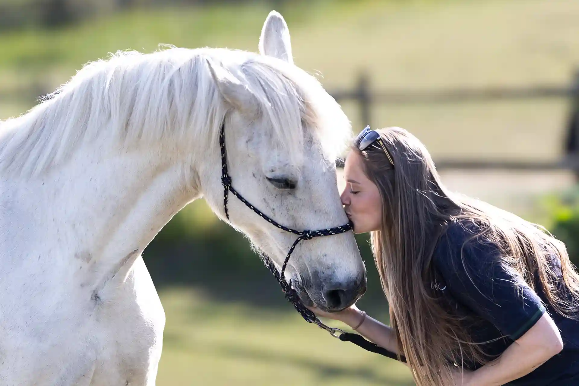 equine-photography